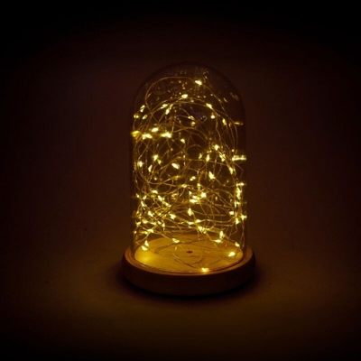 Wisdom - Campana di vetro decorativa illuminata da 50 Led Bianco Caldo
