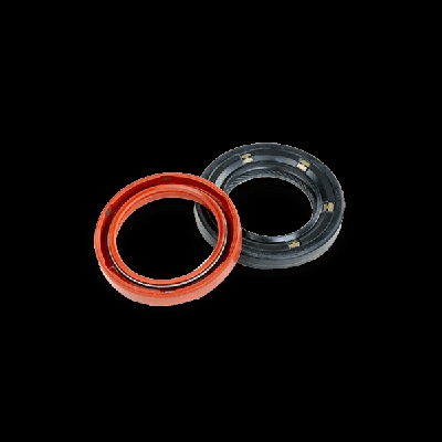 REINZ Paraolio Albero a Camme 81-38627-00 Paraolio, Albero a camme RENAULT,Clio III Hatchback (BR0/1, CR0/1),CLIO II (BB0/1/2_, CB0/1/2_)