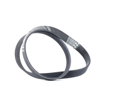 CONTITECH Cinghia Poly-V 6PK1029 ELAST  FORD,Fiesta Mk6 Hatchback (JA8, JR8),B-MAX (JK),MONDEO IV Turnier (BA7),Fiesta Mk6 Sedan,Fiesta Mk6 Van en oferta