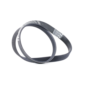 CONTITECH Cinghia Poly-V 6PK1029 ELAST  FORD,Fiesta Mk6 Hatchback (JA8, JR8),B-MAX (JK),MONDEO IV Turnier (BA7),Fiesta Mk6 Sedan,Fiesta Mk6 Van