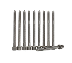 ELRING Kit Bulloni Testata 819.840  VW,AUDI,SEAT,GOLF III (1H1),SHARAN (7M8, 7M9, 7M6),GOLF II (19E, 1G1),PASSAT Variant (3A5, 35I),PASSAT (3A2, 35I) precio