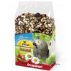 JR Farm Individual per pappagalli africani grigi - 950 g precio