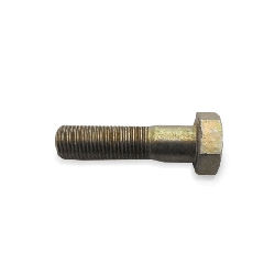 FEBI BILSTEIN Bullone, Flangia albero cardanico 03004  VW,AUDI,SEAT,POLO (9N_),Golf IV Hatchback (1J1),Golf VII Hatchback (5G1, BQ1, BE1, BE2) en oferta