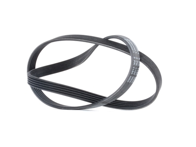 CONTITECH Cinghia Poly-V 5PK1150  OPEL,FIAT,PEUGEOT,COMBO Cassone / Furgonato / Promiscuo (X12),Combo Combi / Tour (X12),PANDA (169),PUNTO (188)