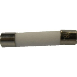 Fusibile a microonde standard 5 Kv 6.0 amp - RECAMANIA en oferta