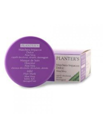 Planters Masch Imp Dolce Aloe características