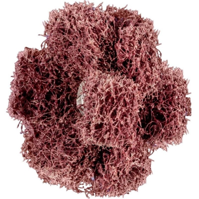 Stella Levigatura Polinox T 38-3 A 80 Pferd