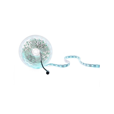 Striscia Led 300 X SMD5050 12VDC 60W IP25 Blu Ghiaccio x 5M | Blu Ghiaccio (CA-5050-300-IP25-IB) - GREENICE