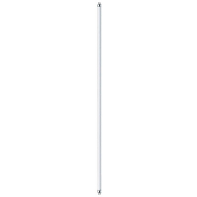 Fluorescent lamp T5 21 W G5, neutral white [Classe di efficienza energetica A+] - PAULMANN