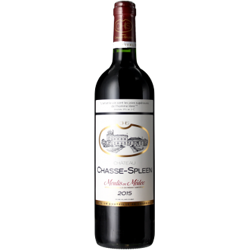 CHÂTEAU CHASSE-SPLEEN 2016 en oferta