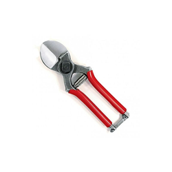 AUSONIA - 31108 Forbice per frutteti professionale a doppio taglio cm 19,5 características