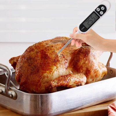 Termometro digitale a sonda - ASUPERMALL