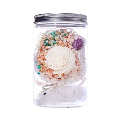 Regalo di giorno Schiuma di fiori secchi Bottiglia Gissola Fiore Night Light Home Decor di San Valentino - ASUPERMALL