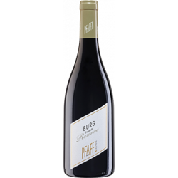 ZWEIGELT RESERVE BURG 2018 - DOMAINE PFAFFL precio