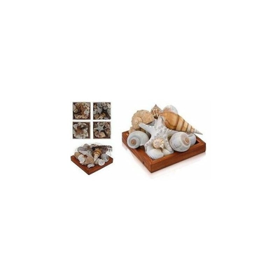 Koopman Conchiglie con Vassoio 13x13cm Assortite