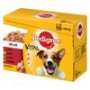 Multipack Pedigree Vital Protection in Gelatina - Set %: 24 x 100 g