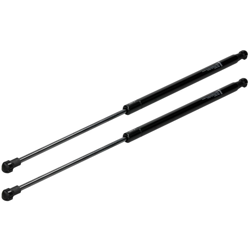 Coppia ammortizzatore portellone post cofano bagaglio Renault Scenic Grand III - ECD GERMANY en oferta