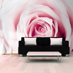 Fotomurale Rose maze cm 300x210 Artgeist en oferta
