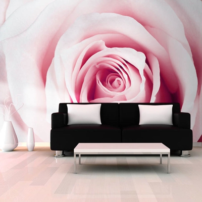 Fotomurale Rose maze cm 300x210 Artgeist