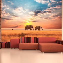 Fotomurale Elefanti nella savana african cm 200x154 Artgeist precio