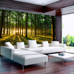 Fotomurale Primavera mattinata nella for cm 300x210 Artgeist en oferta
