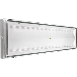 Beghelli BEG8584 Plafoniera Emergenza LED 18 W, - BEGHELLI 8584 en oferta