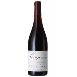 MORGON 2019 - JEAN FOILLARD precio