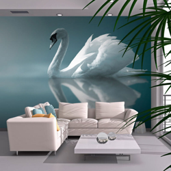 Fotomurale Cigno bianco cm 250x193 Artgeist en oferta