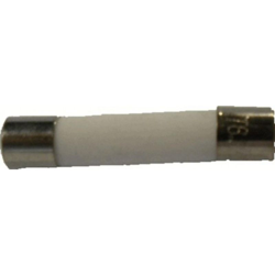 Fusibile a microonde diametro standard 3 x 32 mm 16,0 ampere - RECAMANIA en oferta