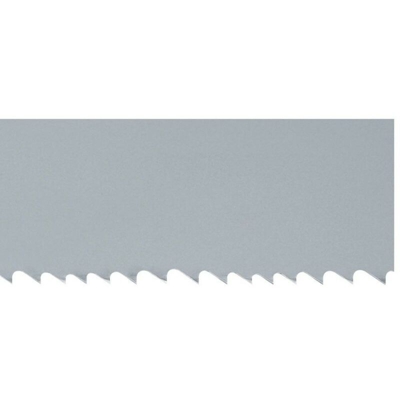 Sega A Nastro Vario M42 2530X20X0,9 5-8Z - Wikus