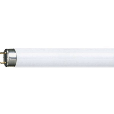 Tubo fluorescente Classe energetica: A (A++ - E) Philips Lighting TL-D 58W/865 G13 PP 927922086513 G13 Potenza: 58.5 W