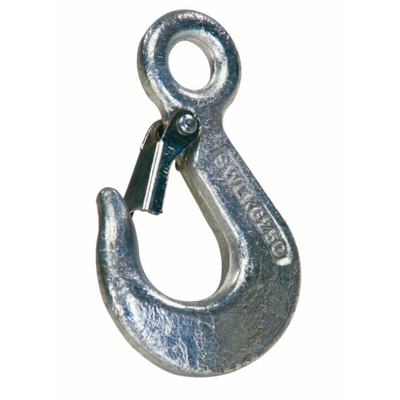 Lem Select - Gancio di sollevamento con occhiello e chiusura di sicurezza 1000 Kg DIN 689