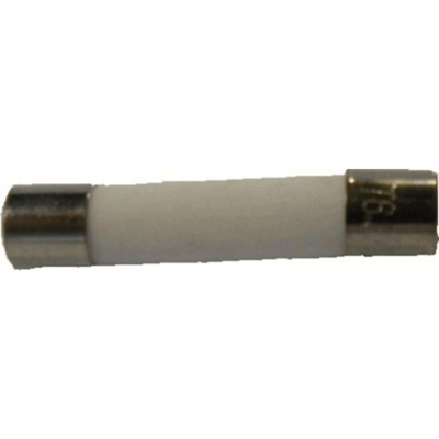 Fusibile a microonde standard 5,0 x 20 mm diametro 12,5 ampere - RECAMANIA