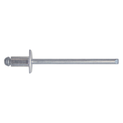Rivetti In Alluminio 6,0X22 (1 %) - FRIULSIDER precio