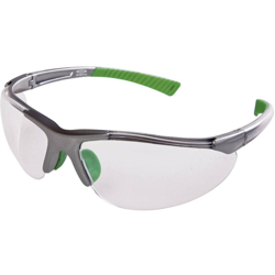 277 373 Occhiali di protezione Grigio, Verde DIN EN 166-1 - Ekastu Sekur precio