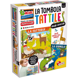 Lisciani Montessori 72460 Plus Tombola Tattile - FALSE características