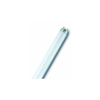 Neon Nl-T8 51W/840 - Osram
