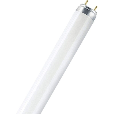 OSRAM Substitube LED Tubo Neon 60cm Luce Naturale 4000K