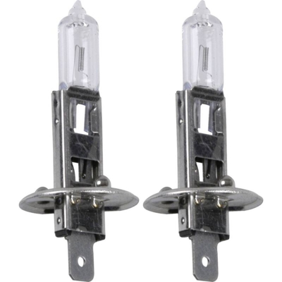 Unitec Lampadina alogena Standard H1 55 W 12 V