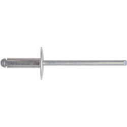 Conf.Rivetti Al.T.Larga 4,8X20 Da Pz. 50 10 Cf - FRIULSIDER precio