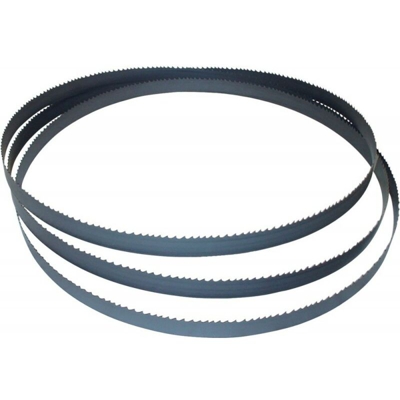 Sega A Nastro Maratona M42 2825X27X0,9 4- 6Z Wikus