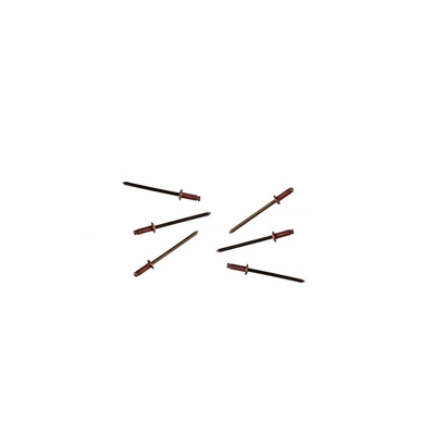 Masidef - Blister 50 Rivetti Ciechi In Rame 3,2X10,0