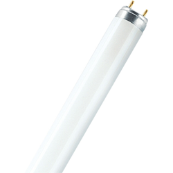 LEDVANCE LEDAVANCE L36830 - Lampada fluorescente T8 Lumilux características