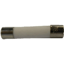 Fusibile a microonde standard diametro 5,0 x 20 mm 10 - RECAMANIA en oferta