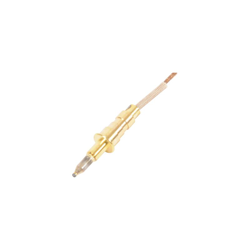 Termocoppia Cucina Rex-Electrolux 3570653067 precio