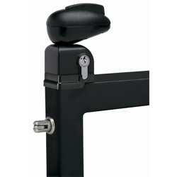 Serrure Twist pour portillon de piscine LOCINOX - noir ral 9005 - TWIST 40 9005 en oferta