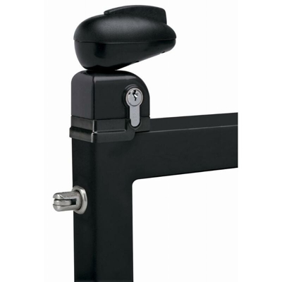 Serrure Twist pour portillon de piscine LOCINOX - noir ral 9005 - TWIST 40 9005