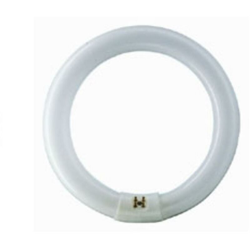Lampade Fluorescenti Circolare Trifosforo T9 32W 6500K Luce Fredda - LAMPADINE LED precio