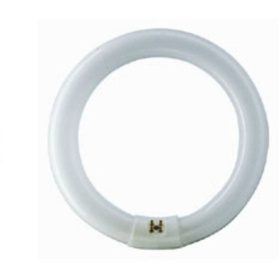 Lampade Fluorescenti Circolare Trifosforo T9 32W 6500K Luce Fredda - LAMPADINE LED