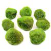 Set di piante per acquario Zooplants "Palline di muschio" - 8 palline precio